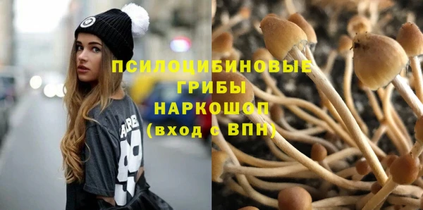 круглые Елизово