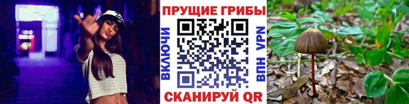 Купить закладки  Судогда  Галлюциногенные грибы ЛСД 